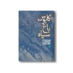 کتاب کابوس باغ سیاه اثر آرمان آرین نشر پریان - تصویر 3