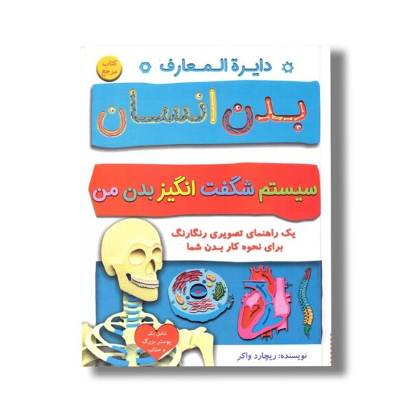 کتاب دایره المعارف بدن انسان: سیستم شگفت انگیز بدن من (یک راهنمای تصویری رنگارنگ برای نحوه کار بدن شما) اثر ریچارد واکر ترجمه افسانه مسعود رهبری نشر آوای دوستی - Image 3