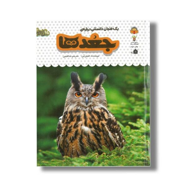 کتاب یک فنجان دانستنی درباره جغدها (جلد 11) اثر امیلی بن ترجمه ندا امینی نشر نوشته - Image 2