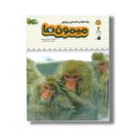 کتاب یک فنجان دانستنی درباره میمون ها (جلد 3) اثر لوسی بومن ترجمه صبا سامتی نشر نوشته