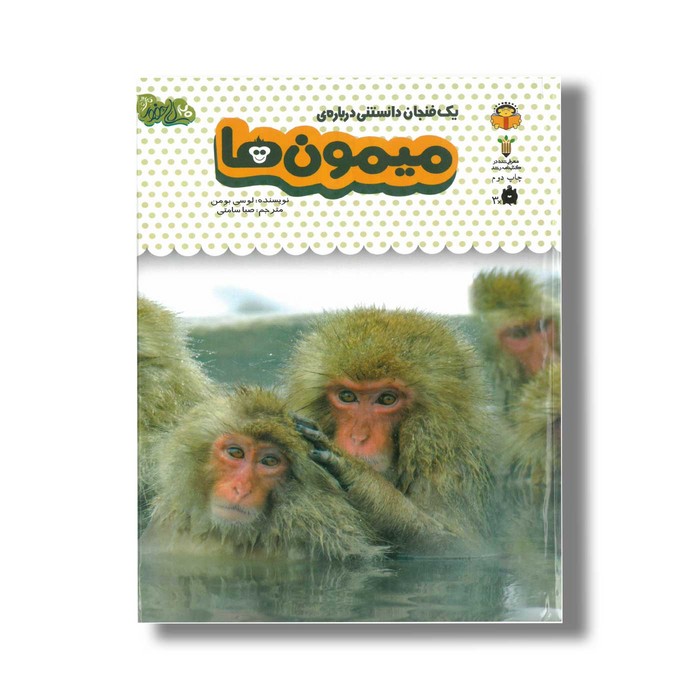 کتاب یک فنجان دانستنی درباره میمون ها (جلد 3) اثر لوسی بومن ترجمه صبا سامتی نشر نوشته کتاب یک فنجان دانستنی درباره میمون ها (جلد 3) اثر لوسی بومن ترجمه صبا سامتی نشر نوشته - تصویر 1