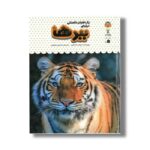 کتاب یک فنجان دانستنی درباره ببرها (جلد 5) اثر جیمز مک لاین ترجمه محسن عصیانی نشر نوشته - تصویر 2