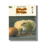 کتاب یک فنجان دانستنی درباره تخم ها و جوجه ها (جلد 14) اثر فیونا پچت ترجمه الهه عریضی نشر نوشته - تصویر 2