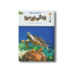کتاب یک فنجان دانستنی درباره زندگی زیر دریا (جلد 31) اثر فیونا بچت ترجمه الهه عریضی نشر نوشته - تصویر 2