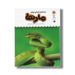 کتاب یک فنجان دانستنی درباره مارها (جلد 19) اثر جیمز مک لاین ترجمه محسن عصیانی نشر نوشته - تصویر 2