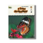 کتاب یک فنجان دانستنی درباره پروانه ها و کرم های پیله ساز (جلد 23) اثر استفانی ترن بول ترجمه محسن عصیانی نشر نوشته - تصویر 2