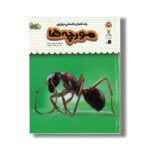 کتاب یک فنجان دانستنی درباره مورچه ها (جلد 22) اثر لوسی بومن ترجمه الهه عریضی نشر نوشته - تصویر 2