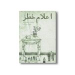 کتاب اعلام خطر اثر راحله پورآذر نشر نشر منظومه خرد - تصویر 2