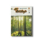 کتاب یک فنجان دانستنی درباره درخت ها (جلد 34) اثر لیزا جین گیلسپی ترجمه الهه عریضی نشر نوشته - Image 3