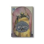 کتاب سه غول کچل به دنبال گنج (یک دانه) اثر پروین پناهی نشر محراب قلم - تصویر 3