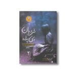 کتاب نردبان بی پله (ارادتمند حیله گر مرموز 2) اثر مورین جانسون ترجمه سیامک دشتی نشر ایران بان - تصویر 3
