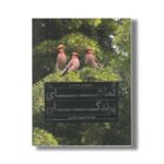 مجموعه سه جلدی تماشای پرندگان اثر پرویز بختیاری نشر کانون پرورش فکری کودکان و نوجوانان - تصویر 3
