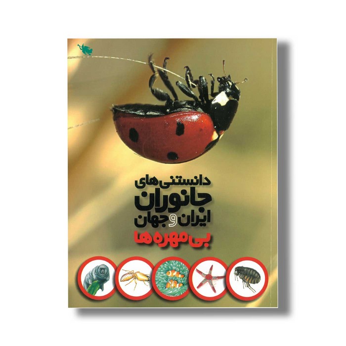 کتاب دانستنی های جانوران ایران و جهان بی مهره ها اثر محمد کرام الدینی نشر طلایی کتاب دانستنی های جانوران ایران و جهان بی مهره ها اثر محمد کرام الدینی نشر طلایی - تصویر 1