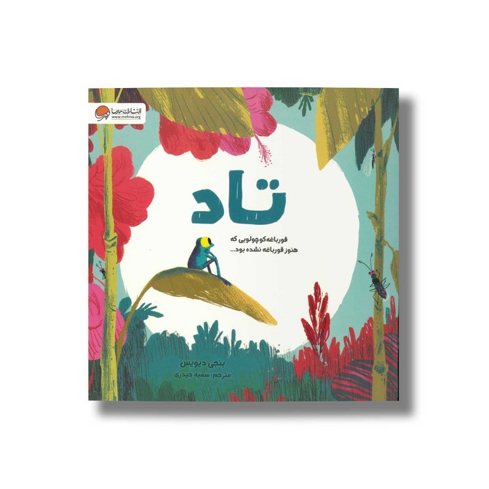 کتاب تاد (قورباغه کوچولویی که هنوز قورباغه نشده بود) اثر بنجی دیویس ترجمه سمیه حیدری نشر مهرسا کتاب تاد (قورباغه کوچولویی که هنوز قورباغه نشده بود) اثر بنجی دیویس ترجمه سمیه حیدری نشر مهرسا - تصویر 1
