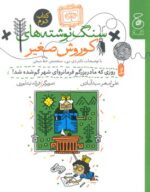 کتاب سنگ نوشته های کوروش صغیر روزی که مادربزرگم فرمانروای شهر گم شده شد (کتاب دوم) اثر علی اصغر سیدآبادی نشر کتاب