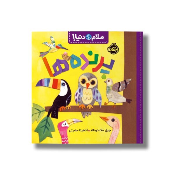 کتاب پرنده ها (سلام دنیا) اثر جیل مک دونالد ترجمه آناهیتا حضرتی نشر پرتقال - Image 2