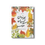 کتاب پرنده سیاه بزرگ اثر اشتفانی هوفلر ترجمه لیلا مکتبی فرد نشر فاطمی