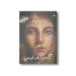 کتاب گندم زارهای من من عباس کیارستمی هستم (کودکی نامداران) اثر پرویز امینی نشر کانون پرورش فکری کودکان و نوجوانان - تصویر 2