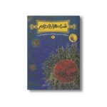 کتاب شب هزار و دوم 2 اثر حامد حبیبی و مهدی فاتحی نشر چکه