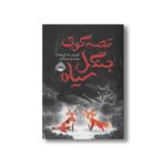 کتاب قصه گوی جنگل سیاه اثر کریستین مک کی هایدکر ترجمه محمد عباس آبادی نشر پرتقال - تصویر 2