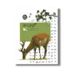 کتاب گوزن زرد (آهای مواظب ما باشید 5) اثر سرور کتبی نشر کانون پرورش فکری کودکان و نوجوانان - تصویر 2