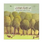 کتاب این باغ بزرگ باورنکردنی اثر نادر ابراهیمی نشر کانون پرورش فکری کودکان و نوجوانان - تصویر 2