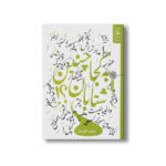 کتاب به کجا چنین شتابان اثر پروین علی پور نشر کتاب چ - تصویر 3
