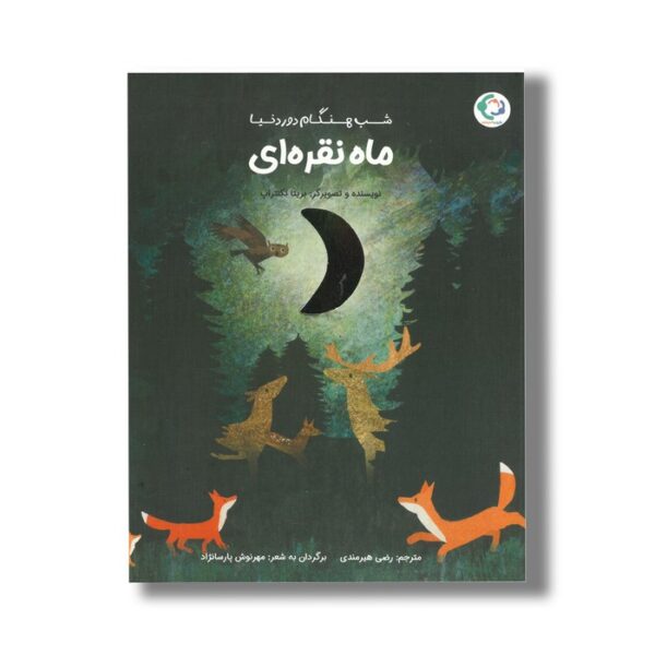کتاب شب هنگام دور دنیا ماه نقره ای اثر بریتا تکنتراپ ترجمه رضی هیرمندی نشر بازی و اندیشه - تصویر 3