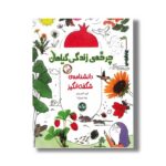 کتاب چرخه زندگی گیاهان (دانشنامه شگفت انگیز) اثر گروه تاکیم ییلدیز ترجمه بهزاد تبریزی آرا نشر برکه - تصویر 2