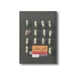 کتاب آقای مانک به هاوایی می رود اثر لی گلدبرگ ترجمه مرجان توکلی نشر پریان - تصویر 3