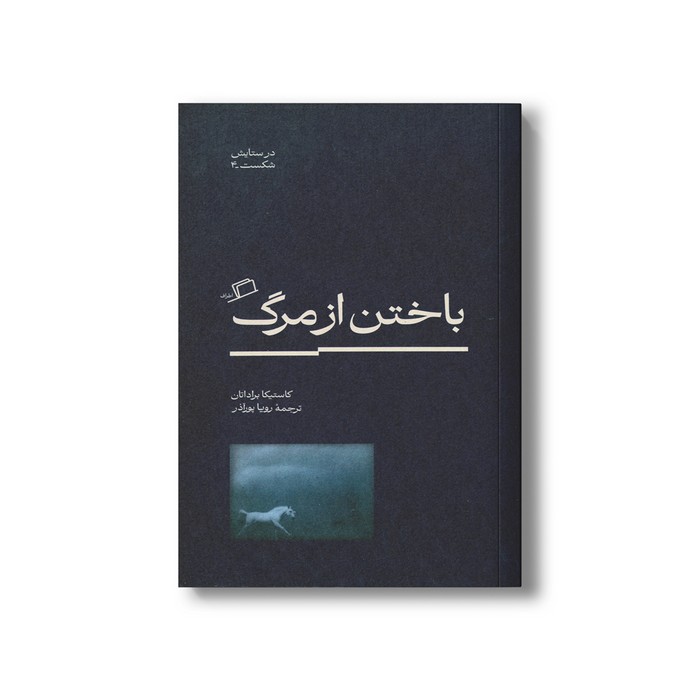 کتاب باختن از مرگ (در ستایش شکست 4) اثر کاستیکا براداتان ترجمه رویا پورآذر نشر اطراف کتاب باختن از مرگ (در ستایش شکست 4) اثر کاستیکا براداتان ترجمه رویا پورآذر نشر اطراف - تصویر 1