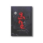 کتاب مزاحم اثر فریدا مک فادن ترجمه قاسم مومنی نشر پرتقال - تصویر 2