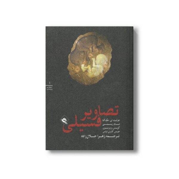 کتاب تصاویر فسیلی (انتخاب پریان 1) اثر گروه نویسندگان ترجمه زهرا جلال زاده نشر پریان - تصویر 3