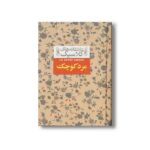 کتاب مرد کوچک (عاشقانه کلاسیک) اثر آلفونس دوده ترجمه محمود گودرزی نشر افق - Image 2