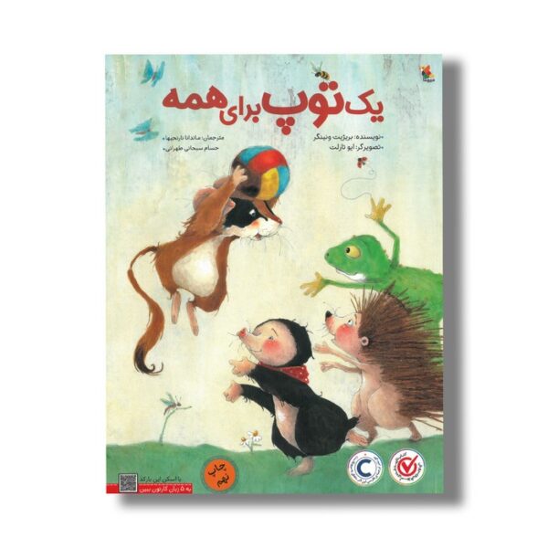 کتاب یک توپ برای همه اثر بریژیت ونینگر ترجمه ماندانا نارنجیها و حسام سبحانی طهرانی نشر میچکا - تصویر 2
