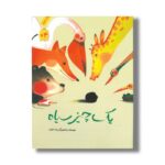 کتاب یک چیز سیاه اثر رضا دالوند نشر فاطمی - تصویر 3