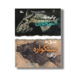 کتاب چگونه یک استخوان تبدیل به سنگواره می شود (چگونه روی می دهد) اثر ملیسا استوارت ترجمه مجید عمیق نشر کانون پرورش فکری کودکان و نوجوانان - Image 3
