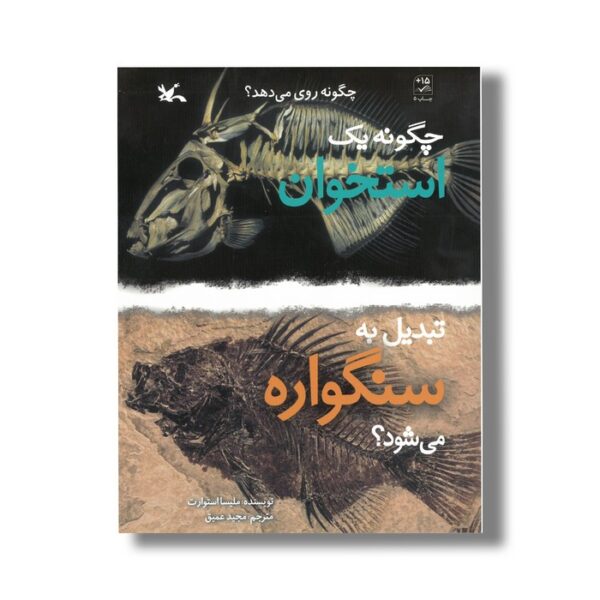 کتاب چگونه یک استخوان تبدیل به سنگواره می شود (چگونه روی می دهد) اثر ملیسا استوارت ترجمه مجید عمیق نشر کانون پرورش فکری کودکان و نوجوانان - Image 3