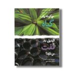 کتاب چگونه یک گیاه تبدیل به نفت می شود (چگونه روی می دهد) اثر لیندا تاگلیافرو ترجمه مجید عمیق نشر کانون پرورش فکری کودکان و نوجوانان - Image 2