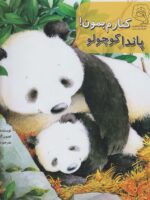 کتاب کنارم بمون پاندا کوچولو اثر کلیر فریدمن ترجمه هانیه فکور نشر سرمدی - تصویر 2