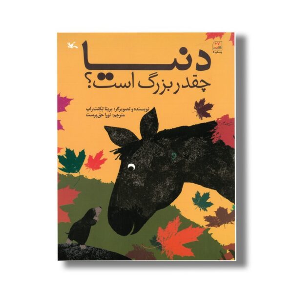 کتاب دنیا چقدر بزرگ است اثر ریتا تکنت راپ ترجمه نورا حق پرست نشر کانون پرورش فکری کودکان و نوجوانان - Image 3