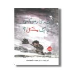 کتاب چه کار می کنی با یک مشکل اثر کوبی یامادا ترجمه فرمهر منجزی نشر پرتقال - تصویر 2