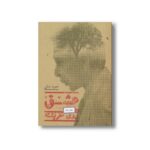 کتاب عشق روی خرپشته اثر حمید جبلی نشر پریان - تصویر 3