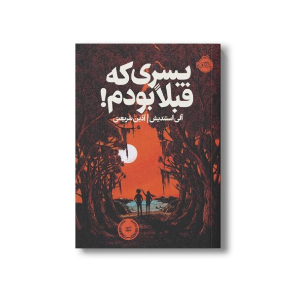 کتاب پسری که قبلا بودم اثر آلی استندیش ترجمه آذین شریعتی نشر پرتقال - Image 3