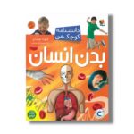 کتاب بدن انسان (دانشنامه کوچک من) اثر فیونا چندلر ترجمه ابراهیم عامل محرابی نشر میچکا - Image 3