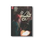 کتاب راز گنجینه برج (پسران هاردی 1) اثر فرانکلین دیکسون ترجمه رعنا کامیار نشر محراب قلم - Image 3