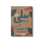کتاب بیلی اثر آنا گاوالدا ترجه نیلوفر امن زاده نشر حوض نقره - تصویر 3