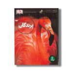 کتاب پرندگان (شاهد عینی) اثر دیوید برنی ترجمه محمدرضا افضلی نشر نردبان - Image 3