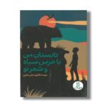 کتاب تابستان من با خرس سیاه و شعر تو اثر مهسا تکاپومنش بقایی نشر نردبان - Image 2